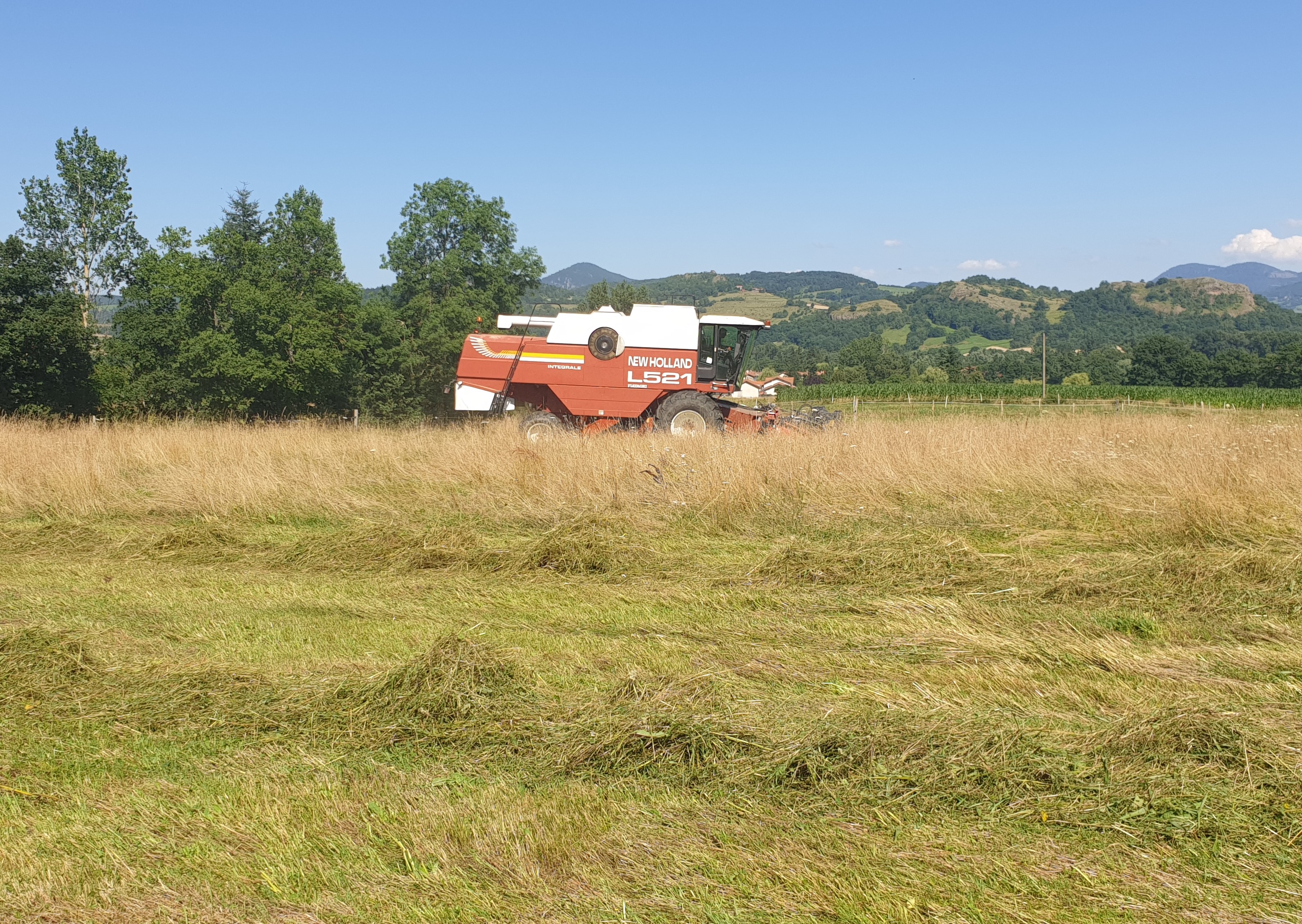 Moissonnage en cours 